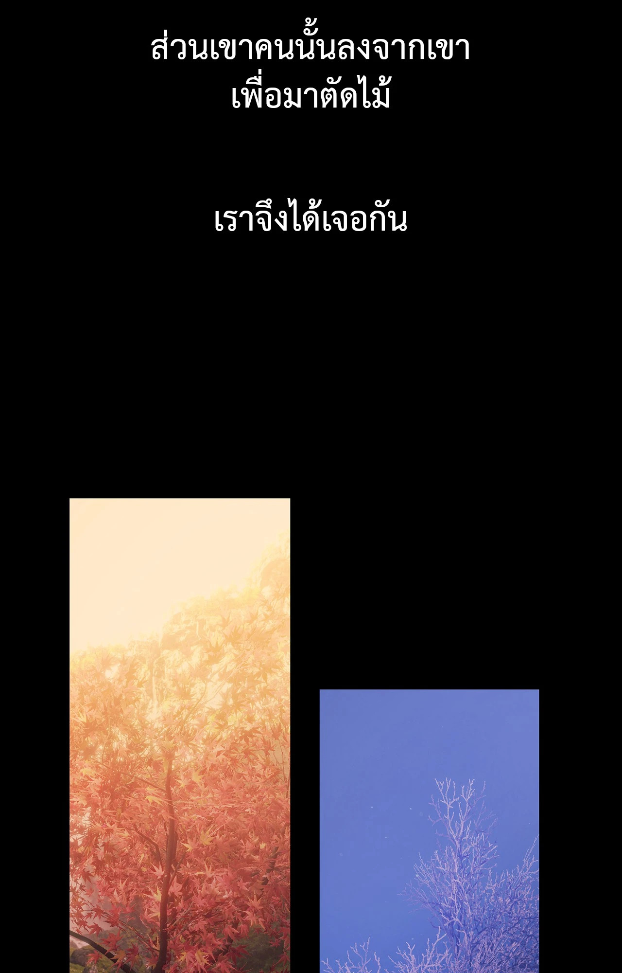 Madam นายหญิง – Madam นายหญิง – ตอนที่ 159 หน้า 46