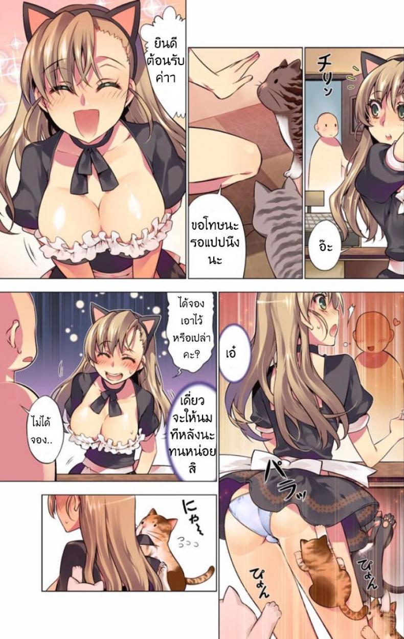 แมวคาเฟ่รุมทิ้งสาว [HB] Oh Komarino 4 – แมวคาเฟ่รุมทิ้งสาว [HB] Oh Komarino 4 – ตอนที่ 1 หน้า 3