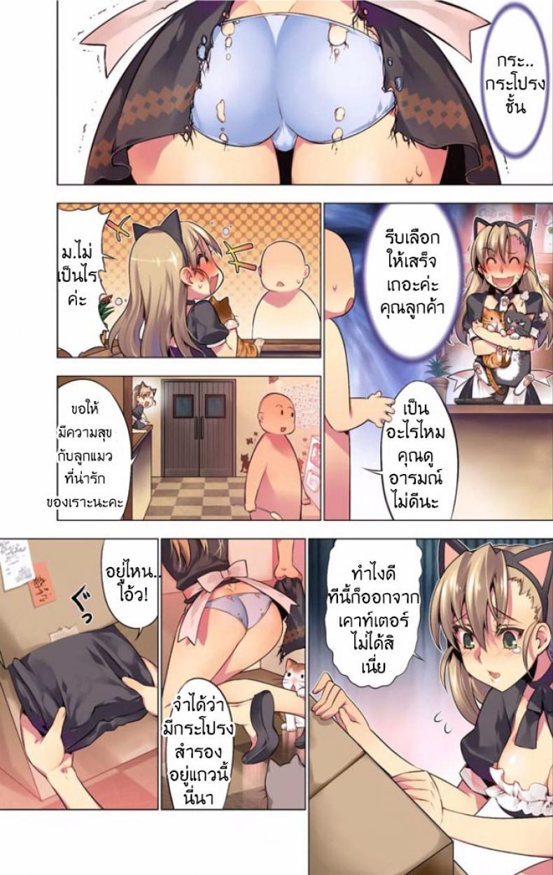 แมวคาเฟ่รุมทิ้งสาว [HB] Oh Komarino 4 – แมวคาเฟ่รุมทิ้งสาว [HB] Oh Komarino 4 – ตอนที่ 1 หน้า 5