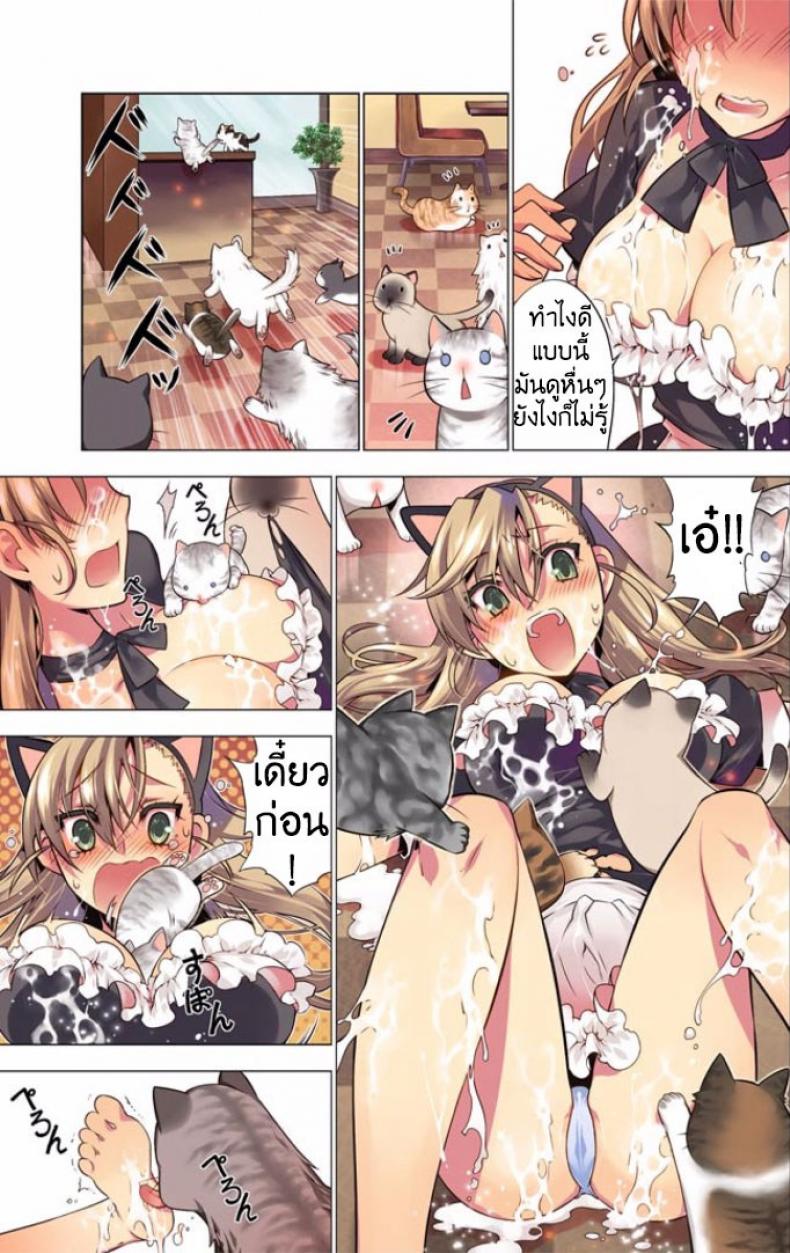 แมวคาเฟ่รุมทิ้งสาว [HB] Oh Komarino 4 – แมวคาเฟ่รุมทิ้งสาว [HB] Oh Komarino 4 – ตอนที่ 1 หน้า 7