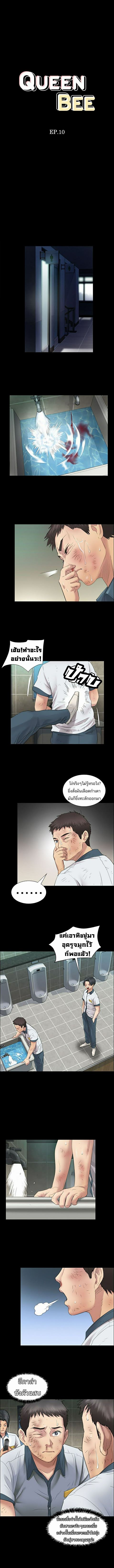 Queen Bee – Queen Bee – ตอนที่ 10 หน้า 1