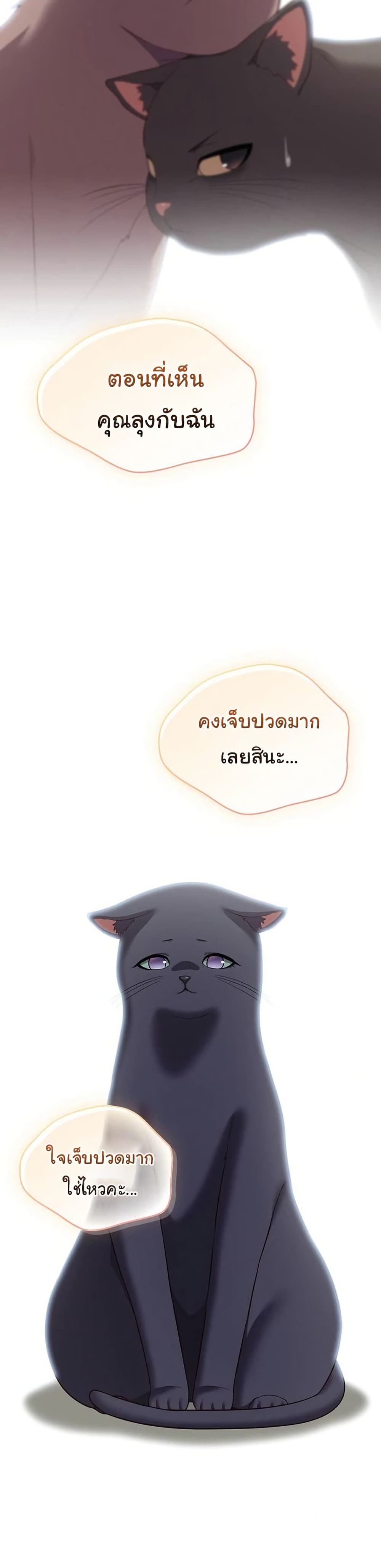 The General Is Here! – The General Is Here! – ตอนที่ 46 หน้า 11