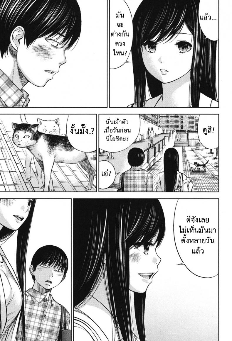 บาปร้ายซ่อนราคะ [Shikishiro Konomi] Ayamachi, Hajimemashite – บาปร้ายซ่อนราคะ [Shikishiro Konomi] Ayamachi, Hajimemashite – ตอนที่ 18 หน้า 13