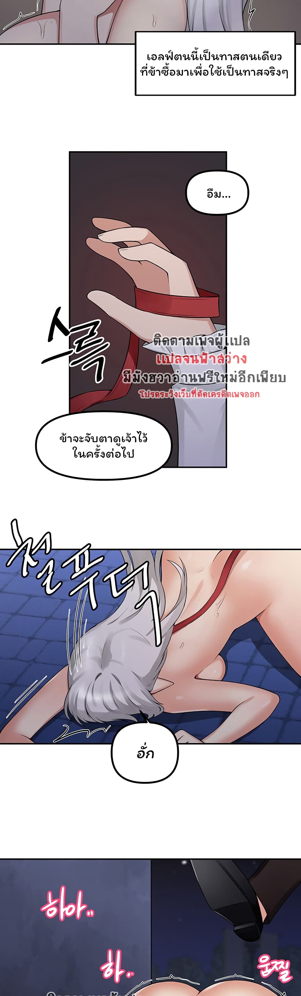 Elf Who Likes To Be Humiliated – Elf Who Likes To Be Humiliated – ตอนที่ 2 หน้า 17