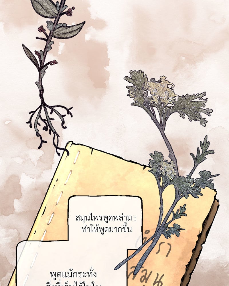Herbal Love Story – Herbal Love Story – ตอนที่ 34 หน้า 39