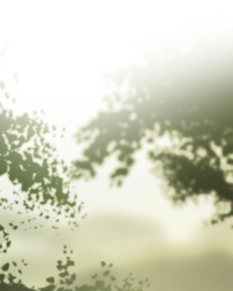 Herbal Love Story – Herbal Love Story – ตอนที่ 54 หน้า 160