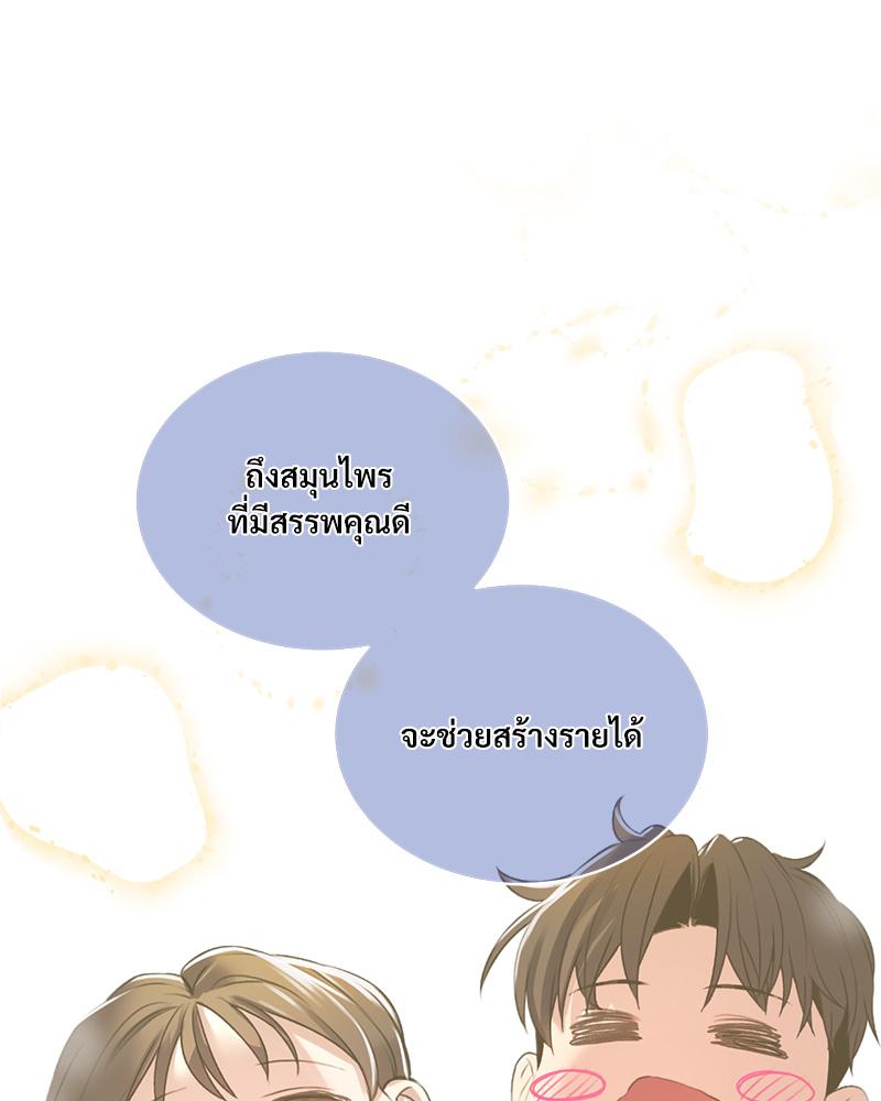 Herbal Love Story – Herbal Love Story – ตอนที่ 78 หน้า 96