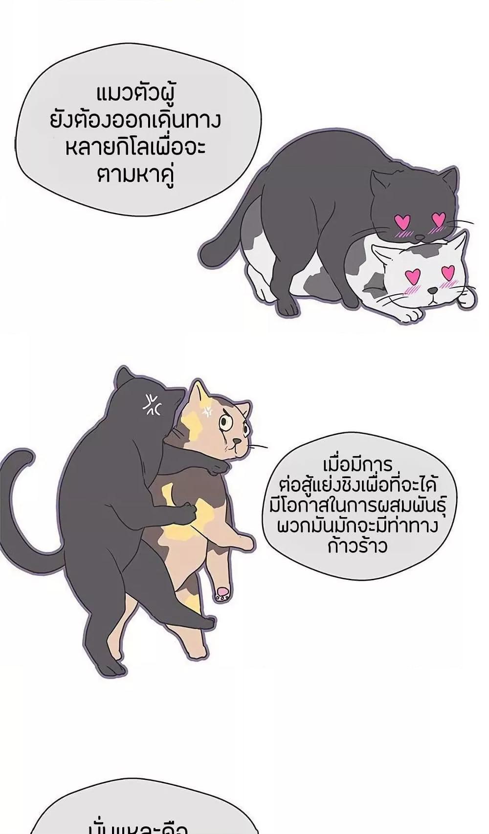 Love Navigation – Love Navigation – ตอนที่ 32 หน้า 38