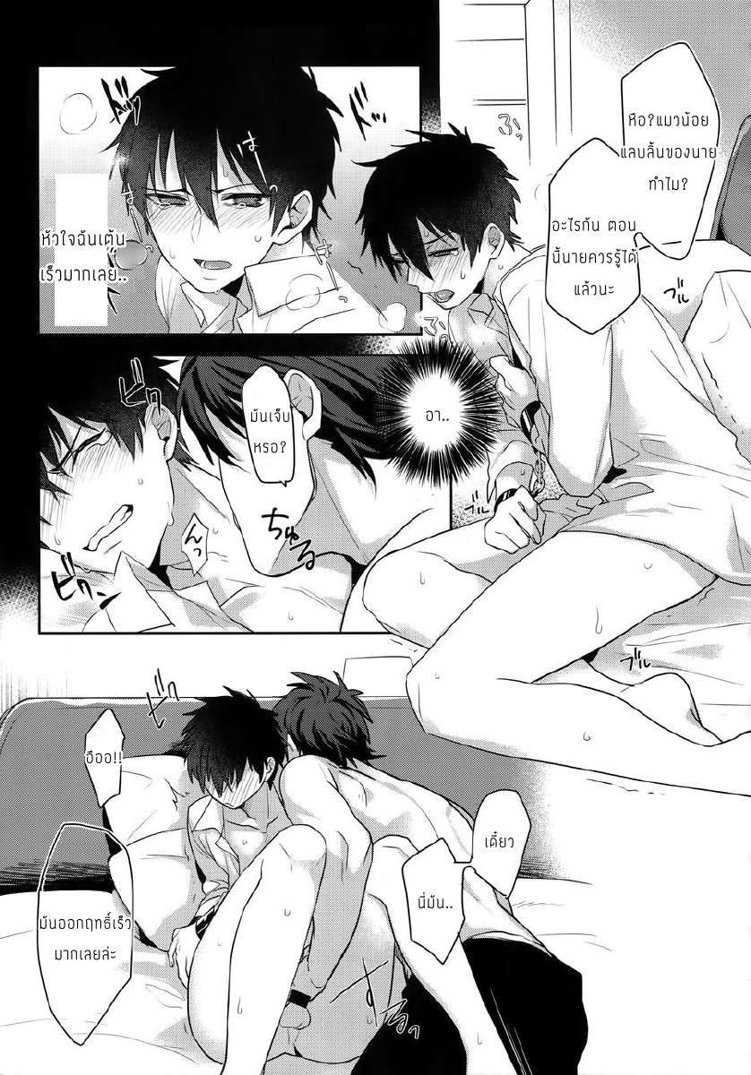 แมวน้อยของผม [Dig Dug (kurocastle)] my own cat – Daiya no Ace dj – แมวน้อยของผม [Dig Dug (kurocastle)] my own cat – Daiya no Ace dj – ตอนที่ 1 หน้า 16