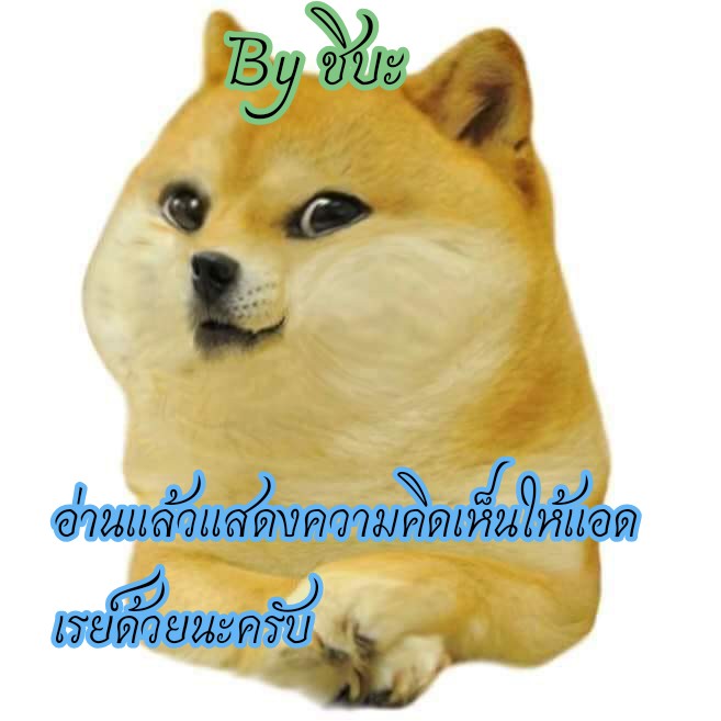 ต้นกำเนิด ซีเวอร์ ฮาวเอเวอร์ [Matemi] Silver Soul Origins – ต้นกำเนิด ซีเวอร์ ฮาวเอเวอร์ [Matemi] Silver Soul Origins – ตอนที่ 1 หน้า 14