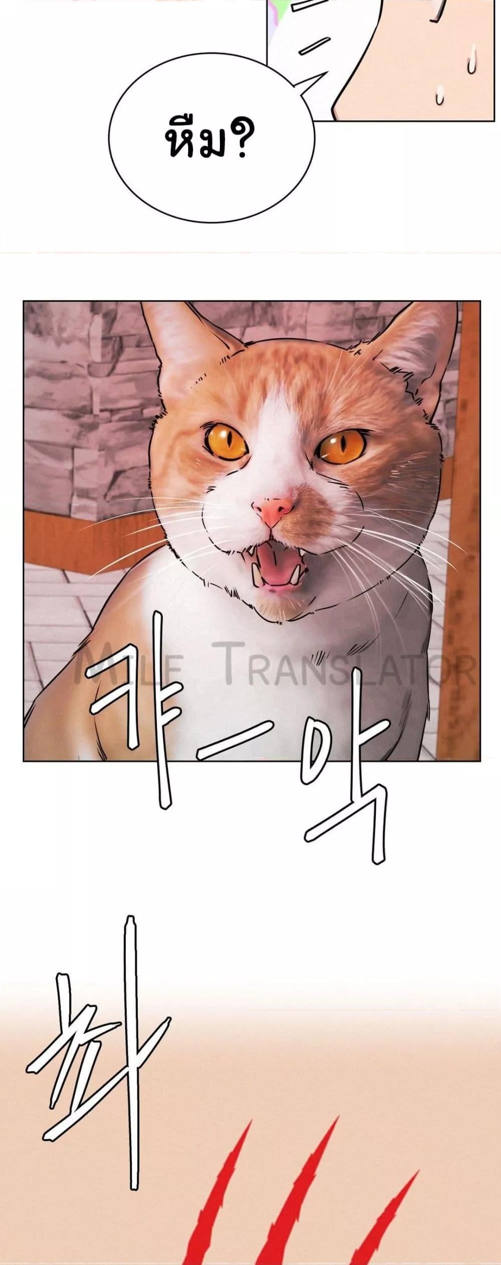 Staying with Ajumma – Staying with Ajumma – ตอนที่ 71 หน้า 57