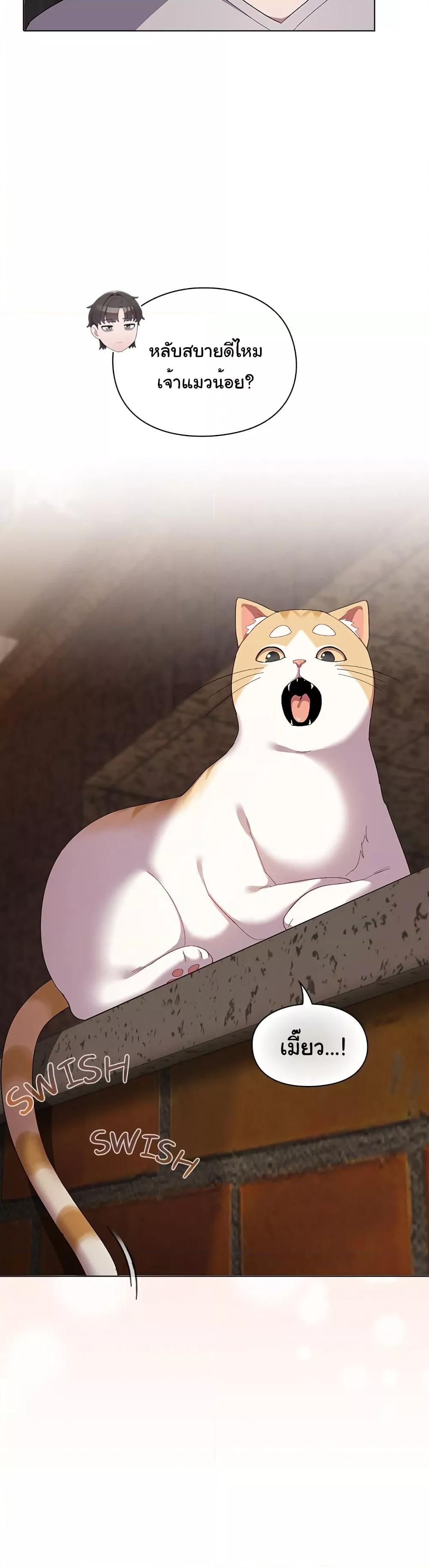The Love Meowtchmaker – The Love Meowtchmaker – ตอนที่ 1 หน้า 18