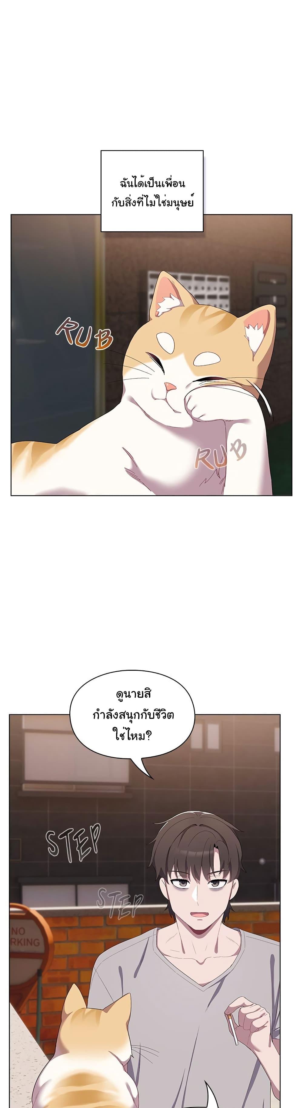 The Love Meowtchmaker – The Love Meowtchmaker – ตอนที่ 1 หน้า 19