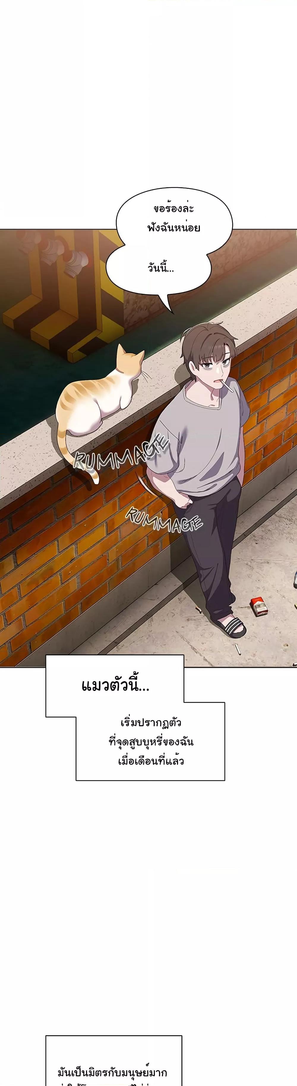 The Love Meowtchmaker – The Love Meowtchmaker – ตอนที่ 1 หน้า 22