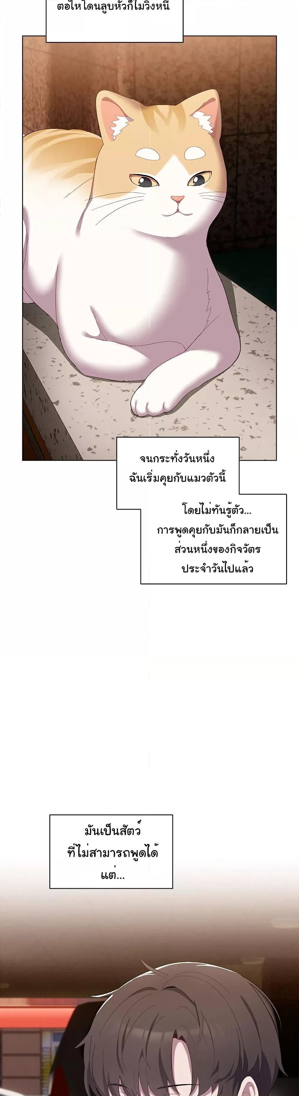 The Love Meowtchmaker – The Love Meowtchmaker – ตอนที่ 1 หน้า 23
