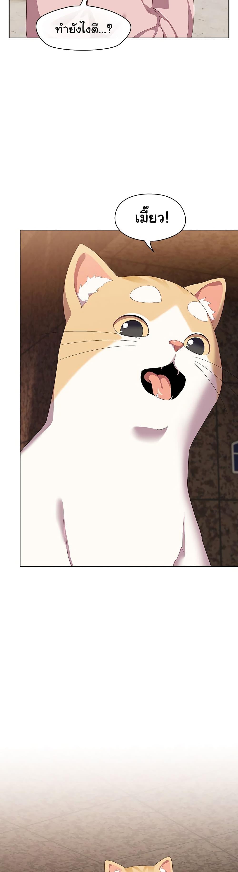 The Love Meowtchmaker – The Love Meowtchmaker – ตอนที่ 1 หน้า 48