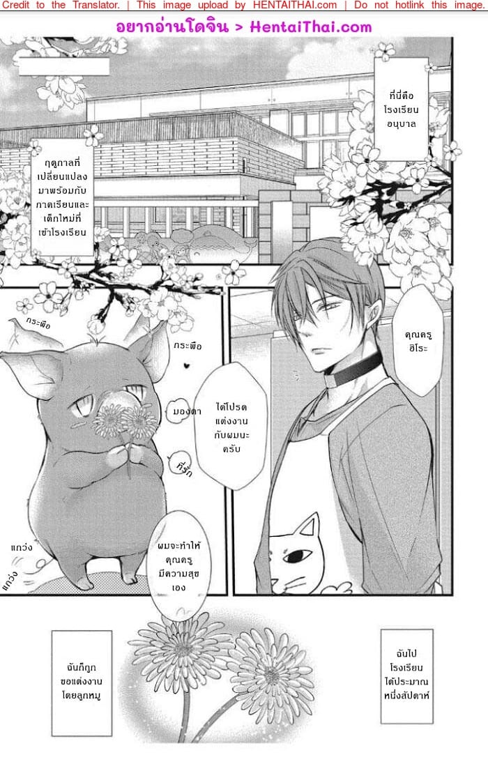 รักต่างพันธุ์ ฉันกับหมู [Moe Fujisaki] Tondemonai Ore no alpha – รักต่างพันธุ์ ฉันกับหมู [Moe Fujisaki] Tondemonai Ore no alpha – ตอนที่ 1 หน้า 2