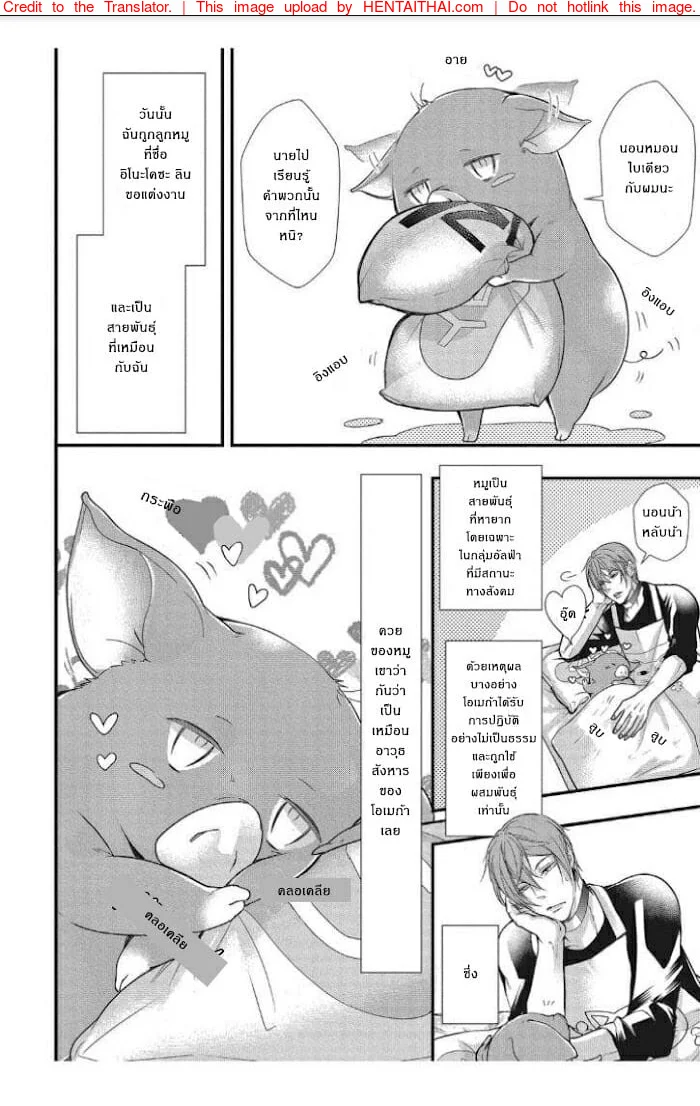 รักต่างพันธุ์ ฉันกับหมู [Moe Fujisaki] Tondemonai Ore no alpha – รักต่างพันธุ์ ฉันกับหมู [Moe Fujisaki] Tondemonai Ore no alpha – ตอนที่ 1 หน้า 5