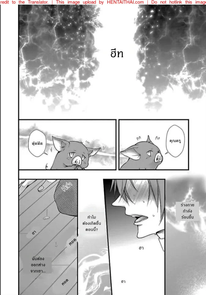 รักต่างพันธุ์ ฉันกับหมู [Moe Fujisaki] Tondemonai Ore no alpha – รักต่างพันธุ์ ฉันกับหมู [Moe Fujisaki] Tondemonai Ore no alpha – ตอนที่ 1 หน้า 15