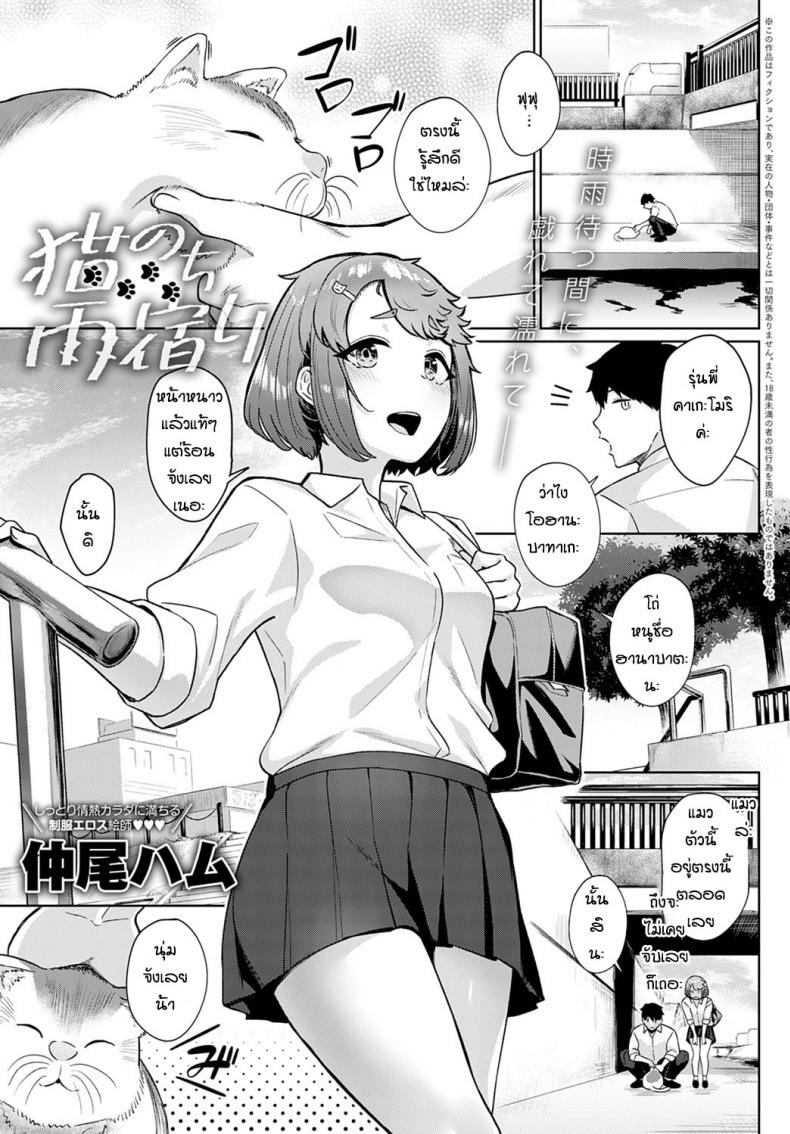 ชอบแมวแล้วก็ชอบรุ่นพี่ด้วย [Nakao Ham] Neko no chiamayadori – ชอบแมวแล้วก็ชอบรุ่นพี่ด้วย [Nakao Ham] Neko no chiamayadori หน้า 1