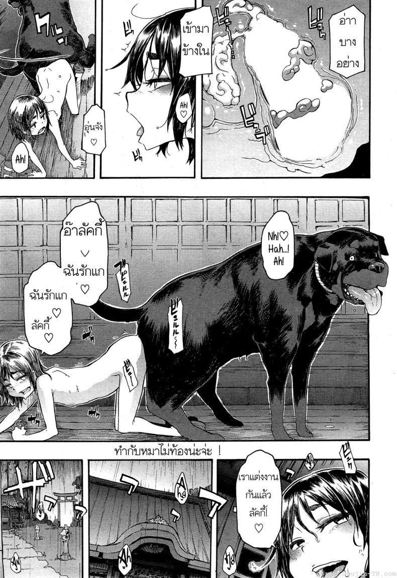 เจ้าหมาลัคกี้ 4zPtYG6 – เจ้าหมาลัคกี้ 4zPtYG6 หน้า 20
