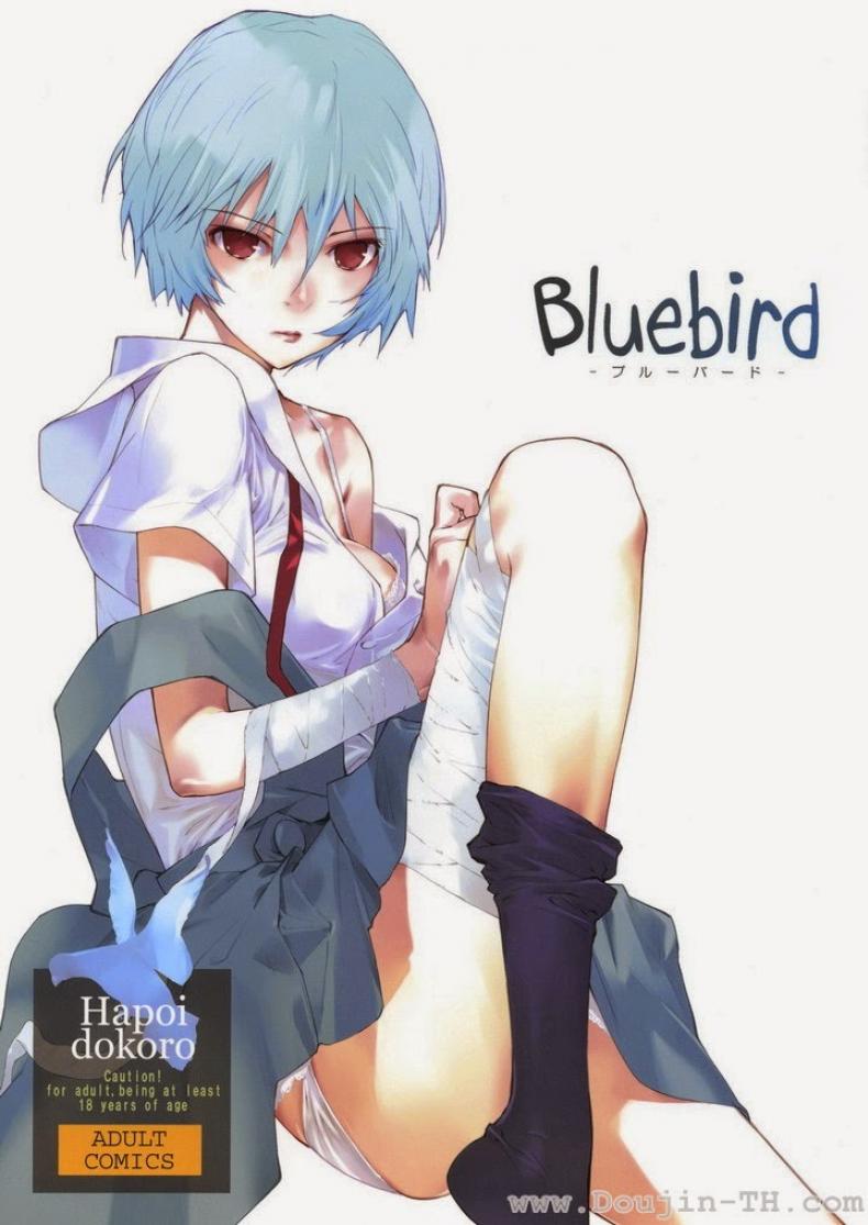 อีวานเกเลียน – นกสีน้ำเงิน (C77) [Hapoi-dokoro (Okazaki Takeshi)] Bluebird (Neon Genesis Evangelion) – อีวานเกเลียน – นกสีน้ำเงิน (C77) [Hapoi-dokoro (Okazaki Takeshi)] Bluebird (Neon Genesis Evangelion) หน้า 1