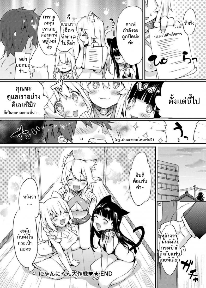 ดีลพิเศษ สำหรับคุณ [Tikisou Takeda] Nyan Nyan Dai Sakusen | Nyan Nyan Operation – ดีลพิเศษ สำหรับคุณ [Tikisou Takeda] Nyan Nyan Dai Sakusen | Nyan Nyan Operation หน้า 20