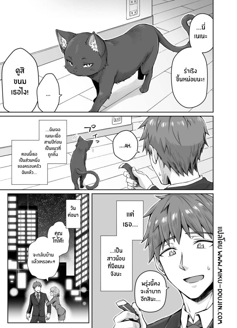 เเมวสัตว์เลี้ยงยันเดเระของผม[KOYUKI-ya (Koyuki, Yaki Tomato)] Uchi no Yandere na Kaineko-chan ni Mechakucha ni Shiborarechau Hanashi – เเมวสัตว์เลี้ยงยันเดเระของผม[KOYUKI-ya (Koyuki, Yaki Tomato)] Uchi no Yandere na Kaineko-chan ni Mechakucha ni Shiborarechau Hanashi หน้า 2