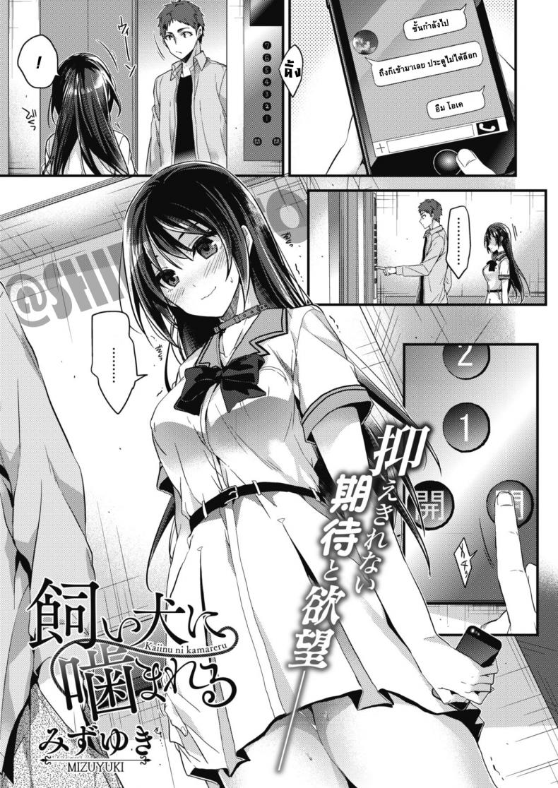 เพียงแค่สั่ง [Mizuyuki] Kaiinu ni Kamareru (COMIC HOTMILK 2017-09) – เพียงแค่สั่ง [Mizuyuki] Kaiinu ni Kamareru (COMIC HOTMILK 2017-09) หน้า 1