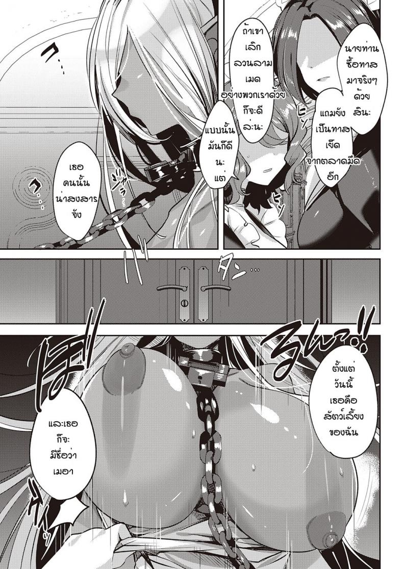 ได้ดาร์กเอลฟ์เป็นสัตว์เลี้ยง [Mitsuashi] Dark Elf no Koufukuron – ได้ดาร์กเอลฟ์เป็นสัตว์เลี้ยง [Mitsuashi] Dark Elf no Koufukuron หน้า 9