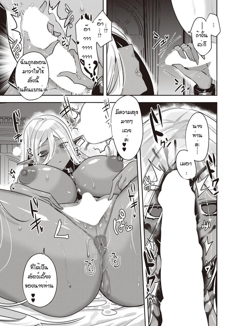 ได้ดาร์กเอลฟ์เป็นสัตว์เลี้ยง [Mitsuashi] Dark Elf no Koufukuron – ได้ดาร์กเอลฟ์เป็นสัตว์เลี้ยง [Mitsuashi] Dark Elf no Koufukuron หน้า 17