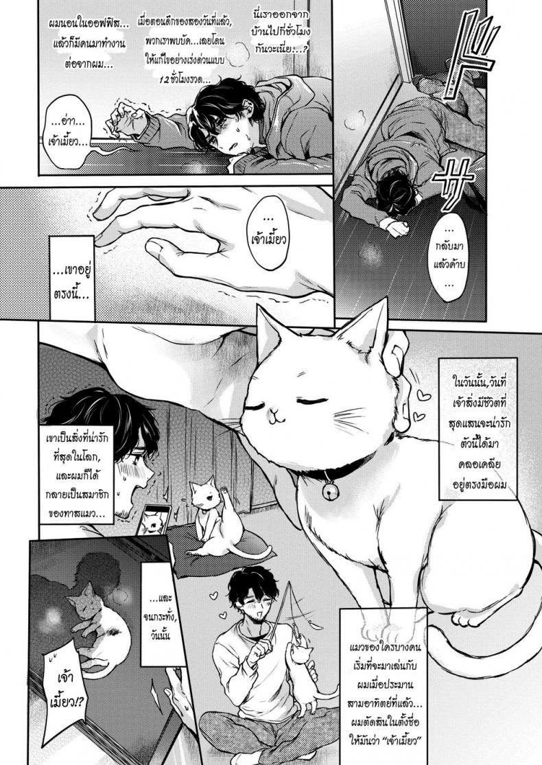 แมวน้อยสื่อรัก [Hinahara Emi] Kitty Petting Love – แมวน้อยสื่อรัก [Hinahara Emi] Kitty Petting Love หน้า 2