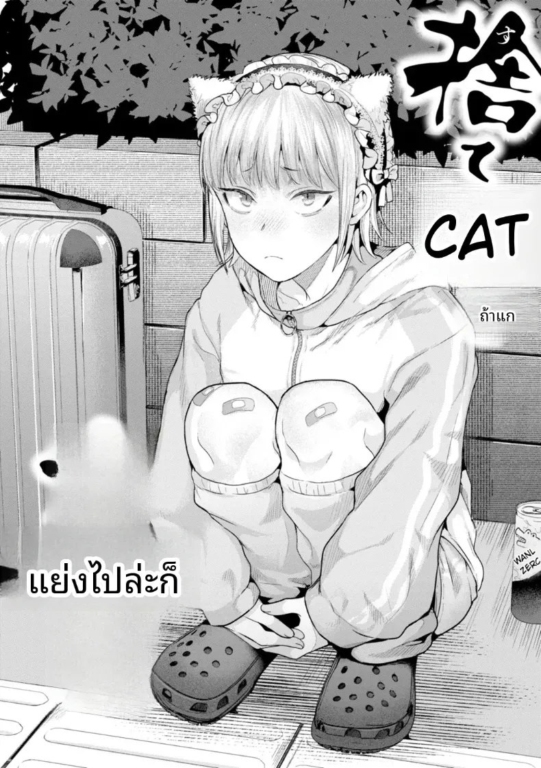เก็บแมวจรจัดมาเลี้ยง – เก็บแมวจรจัดมาเลี้ยง หน้า 2