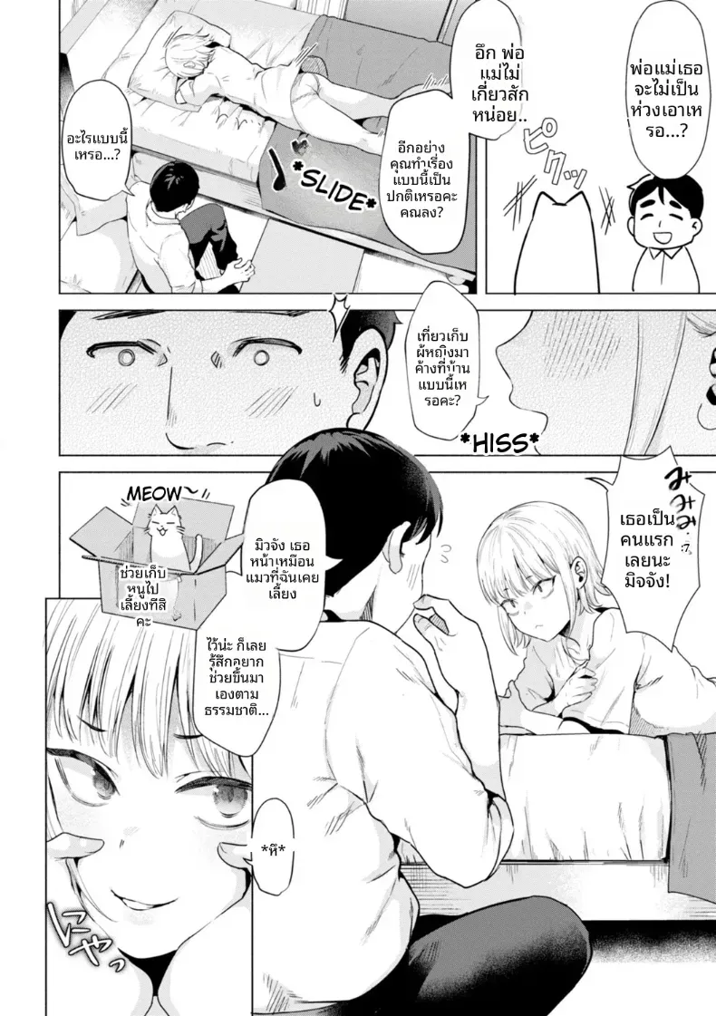 เก็บแมวจรจัดมาเลี้ยง – เก็บแมวจรจัดมาเลี้ยง หน้า 4