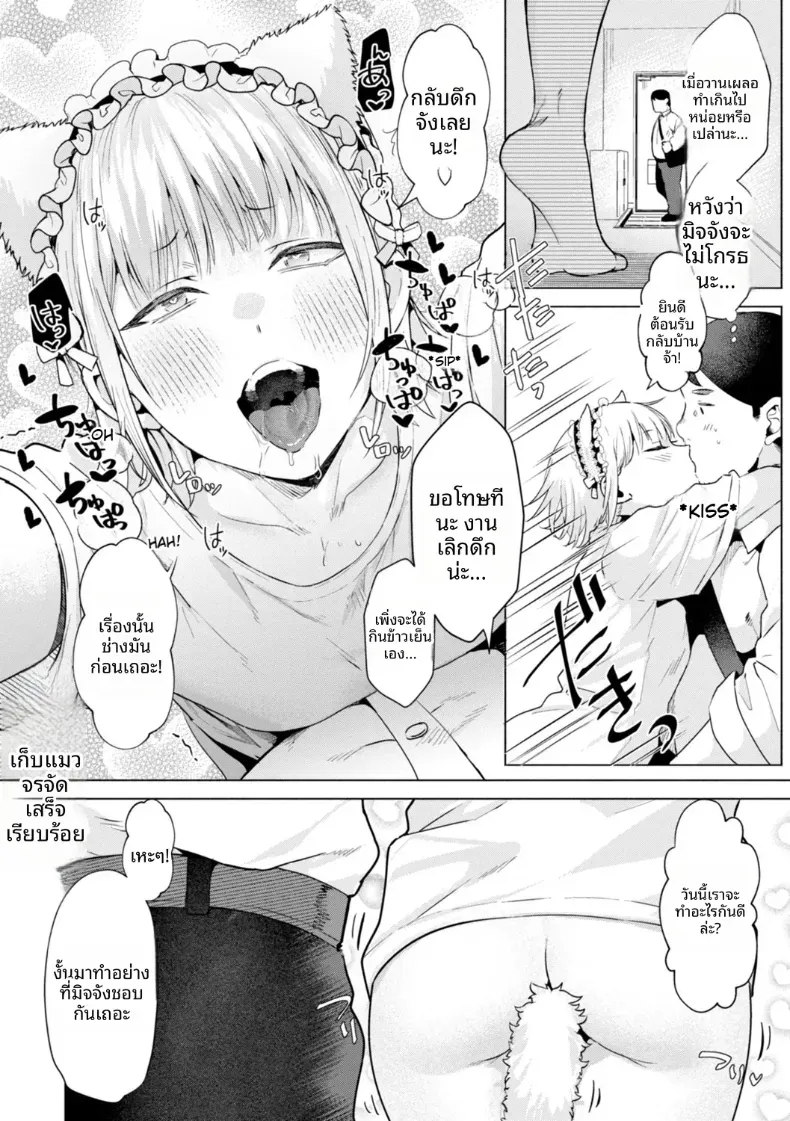 เก็บแมวจรจัดมาเลี้ยง – เก็บแมวจรจัดมาเลี้ยง หน้า 28