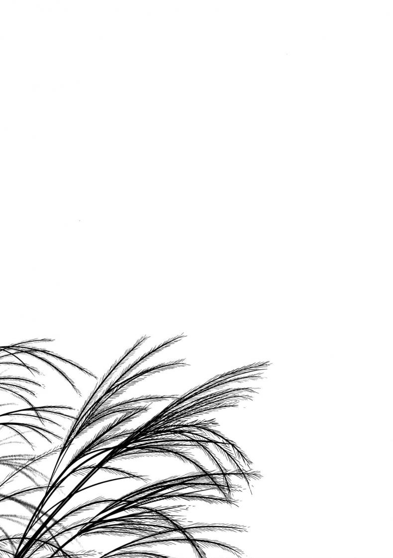 ปล้ำเด็กก่อนเมนส์มา [yukino minato] Hikari no Kimi no Saganaki Keikaku | Lord Hikaru’s Cunning Plan (noraneko-no-tama) – ปล้ำเด็กก่อนเมนส์มา [yukino minato] Hikari no Kimi no Saganaki Keikaku | Lord Hikaru’s Cunning Plan (noraneko-no-tama) หน้า 19