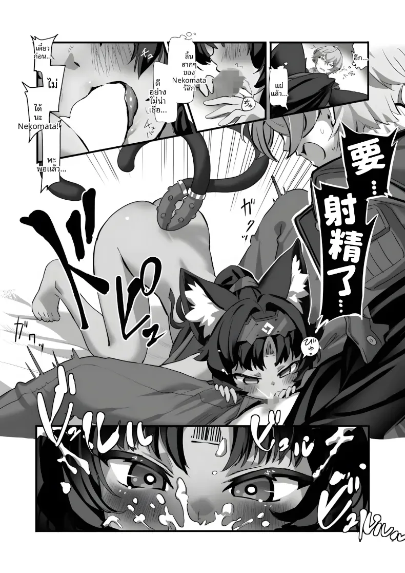 เเมวที่เสพเเคทนิป (Nito) – เเมวที่เสพเเคทนิป (Nito) หน้า 7