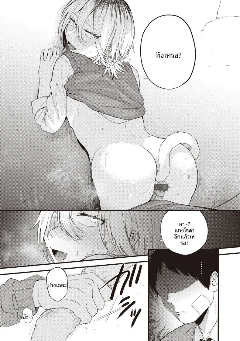 เเมวดุร้ายก็มีด้านอ่อนหวาน [Shibaken Goro] – เเมวดุร้ายก็มีด้านอ่อนหวาน [Shibaken Goro] หน้า 18