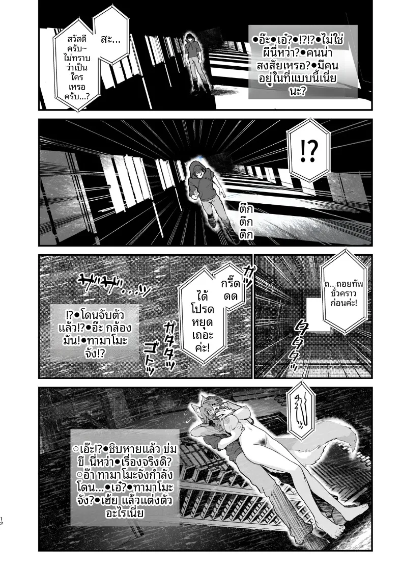 ไลฟ์สตรีมเปลื้องผ้า ทามาโมะจัง (Wise Speak) (Fate-EXTRA CCC) – ไลฟ์สตรีมเปลื้องผ้า ทามาโมะจัง (Wise Speak) (Fate-EXTRA CCC) หน้า 12